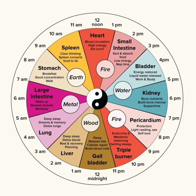 chinese-body-clock